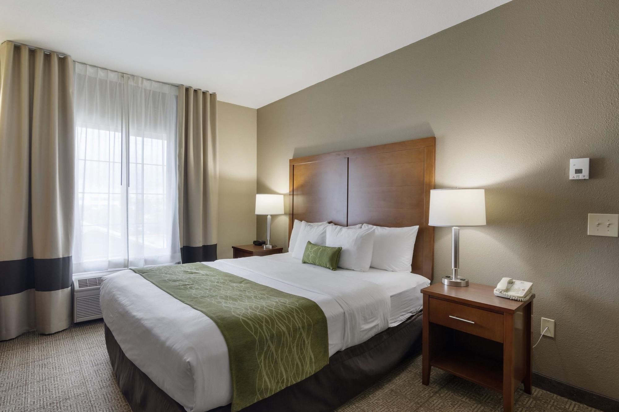Comfort & - Area Hotel